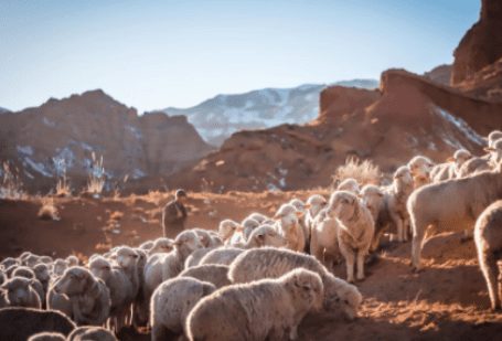 Screen Shot 2021-11-11 at 12.39.04